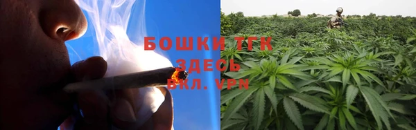 ГАЛЛЮЦИНОГЕННЫЕ ГРИБЫ Арсеньев