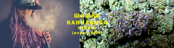 ГАЛЛЮЦИНОГЕННЫЕ ГРИБЫ Арсеньев