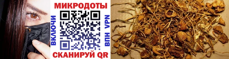 Галлюциногенные грибы Magic Shrooms  Ленинск 